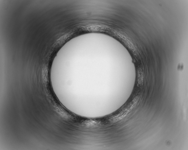 X0000103490453200810031609