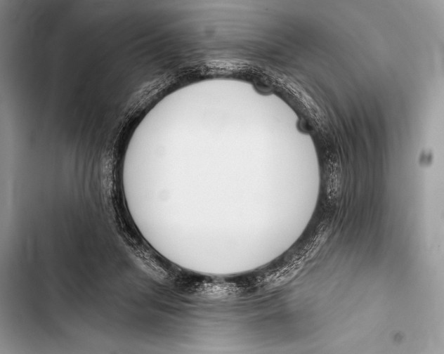 X0000103490455200810031609