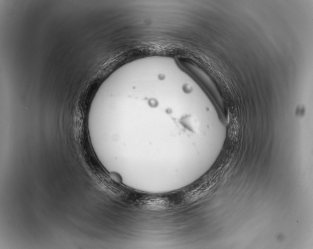 X0000103490456200810031609