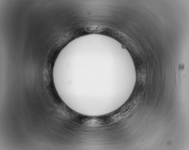 X0000103490460200810031609