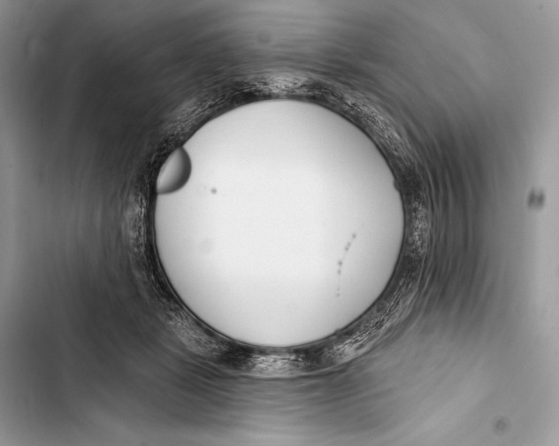 X0000103490461200810031609