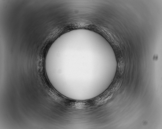 X0000103490462200810031609