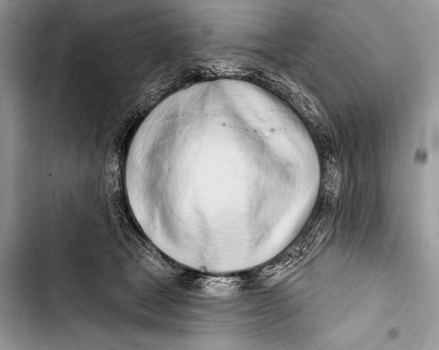 X0000103490465200810031609