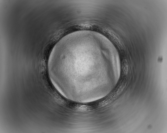 X0000103490467200810031609