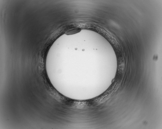 X0000103490469200810031609