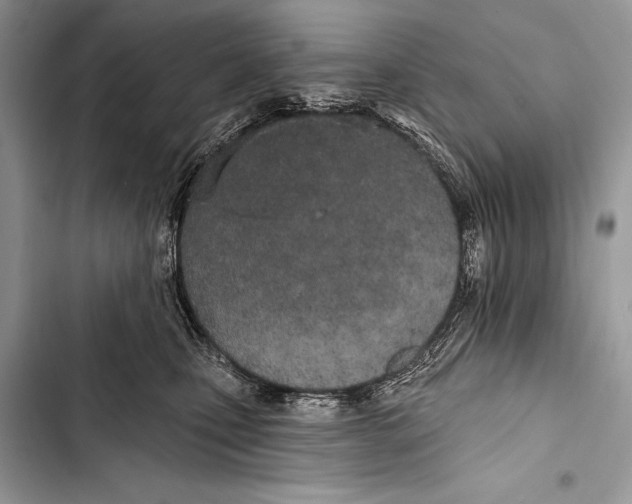 X0000103490471200810031609