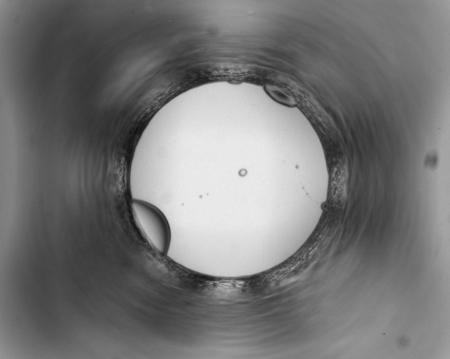 X0000103490474200810031609