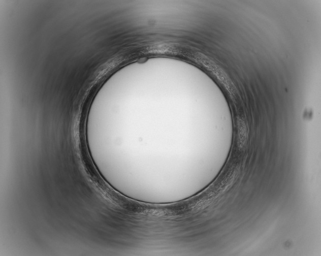 X0000103490482200810031609