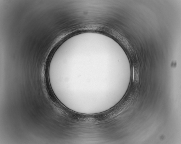 X0000103490483200810031609