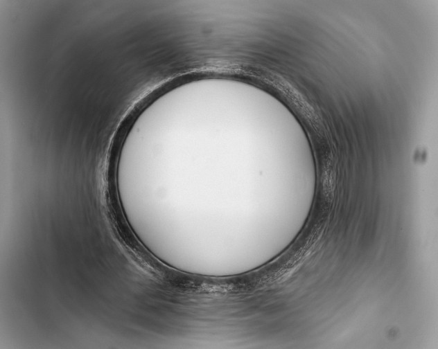 X0000103490484200810031609