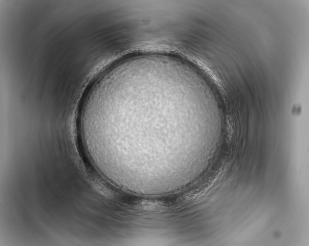 X0000103490487200810031609