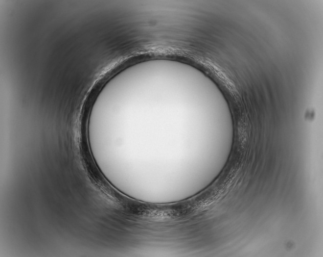 X0000103490488200810031609