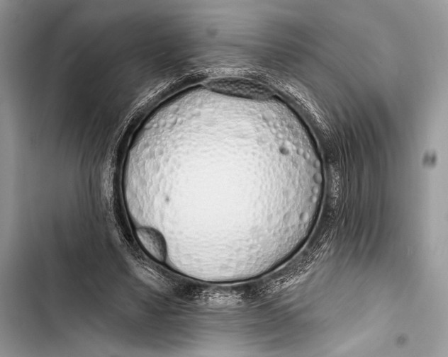 X0000103490491200810031609