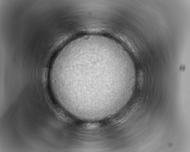 X0000103490495200810031609