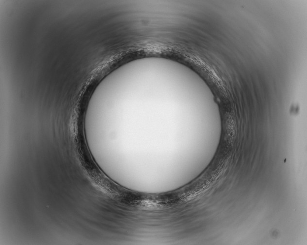 X0000103490496200810031609