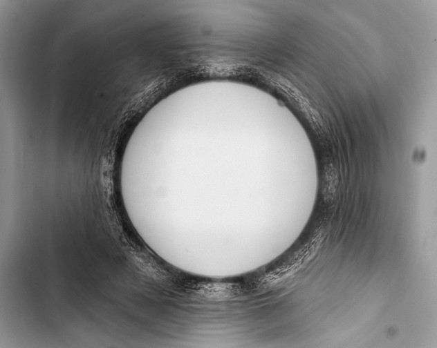 X0000103490497200810031609