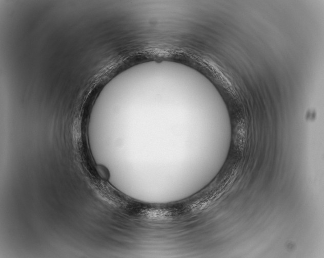 X0000103490500200810031609