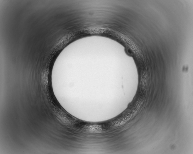 X0000103490501200810031609