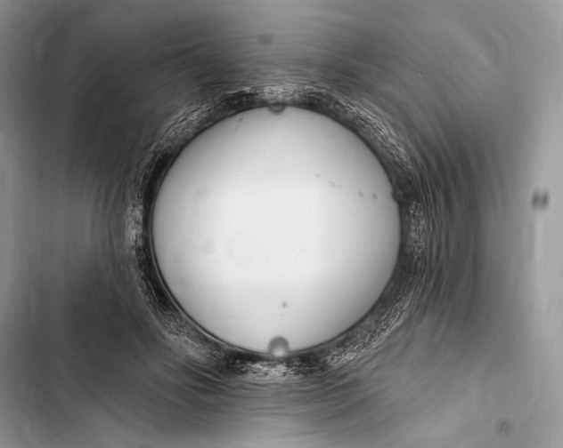 X0000103490502200810031609