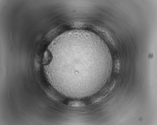 X0000103490503200810031609