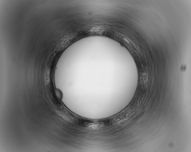 X0000103490504200810031609