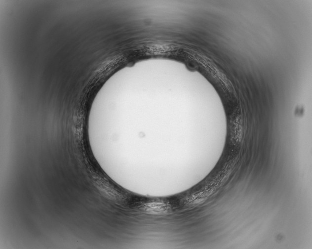 X0000103490505200810031608