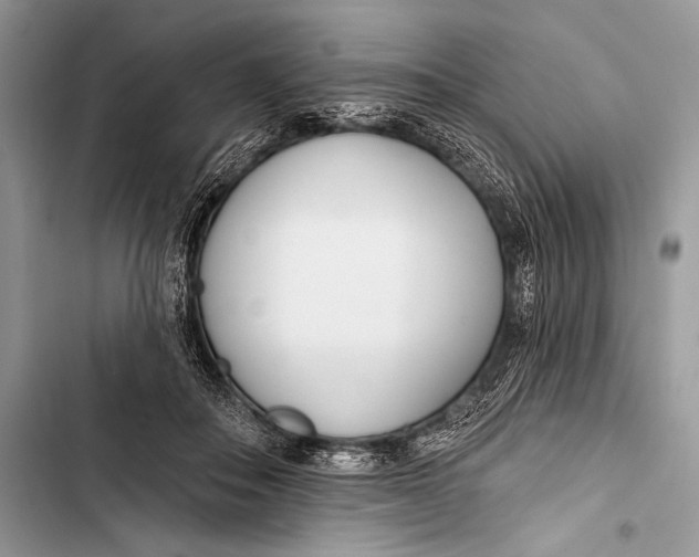 X0000103490506200810031608