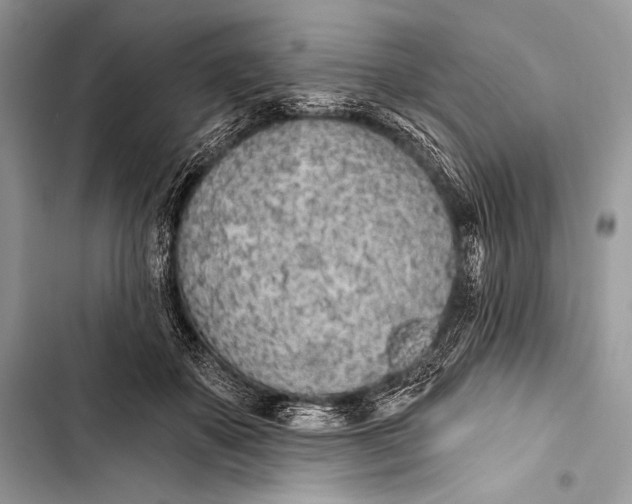 X0000103490507200810031608