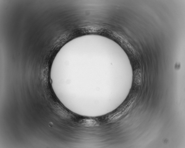 X0000103490509200810031608