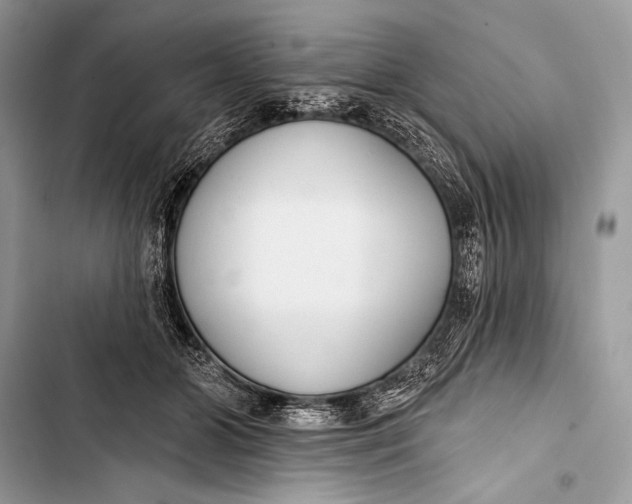 X0000103490510200810031608