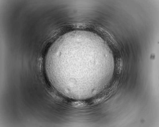 X0000103490511200810031608