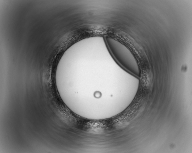 X0000103490512200810031608