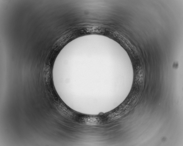 X0000103490513200810031608