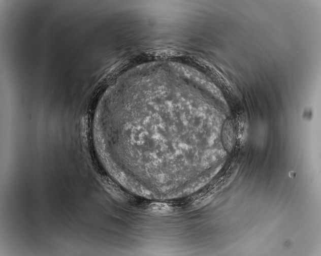 X0000103490519200810031608