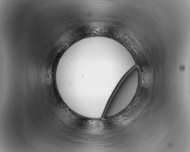 X0000103490520200810031608