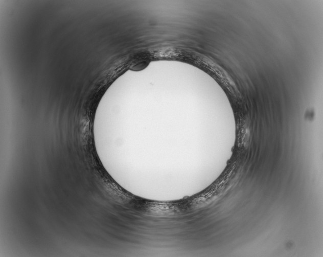 X0000103490521200810031608