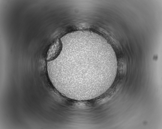 X0000103490523200810031608