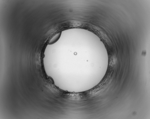 X0000103490524200810031608