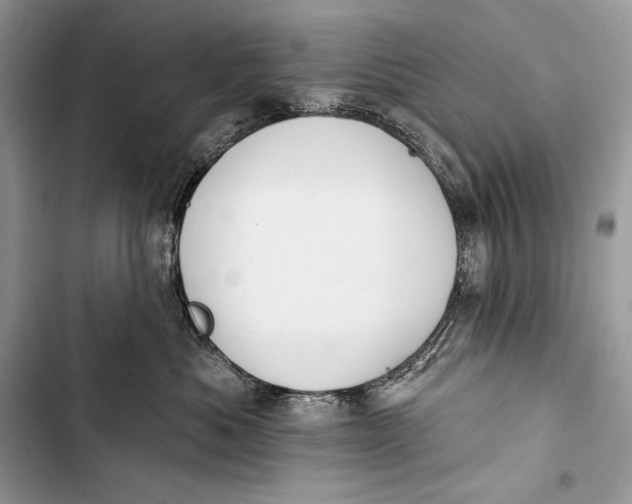 X0000103490525200810031608