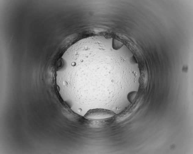 X0000103490527200810031608