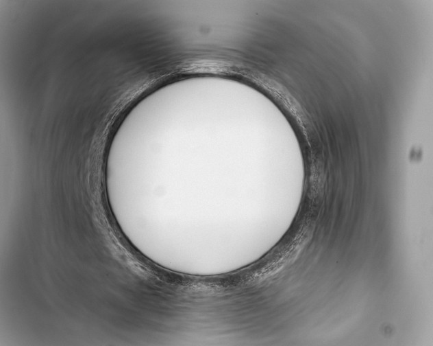 X0000103490529200810031607