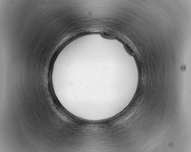 X0000103490530200810031608