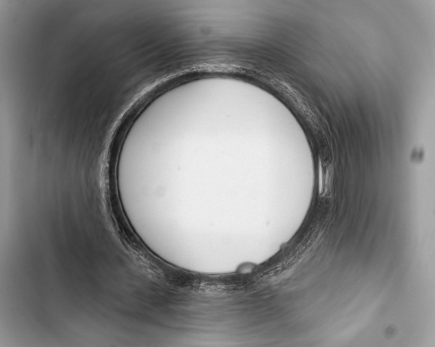 X0000103490531200810031608