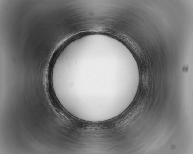 X0000103490532200810031608