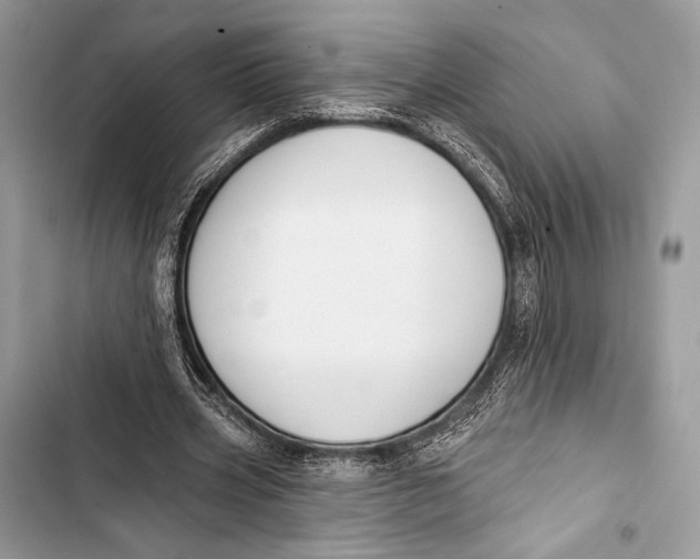 X0000103490533200810031608