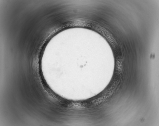 X0000103490534200810031608