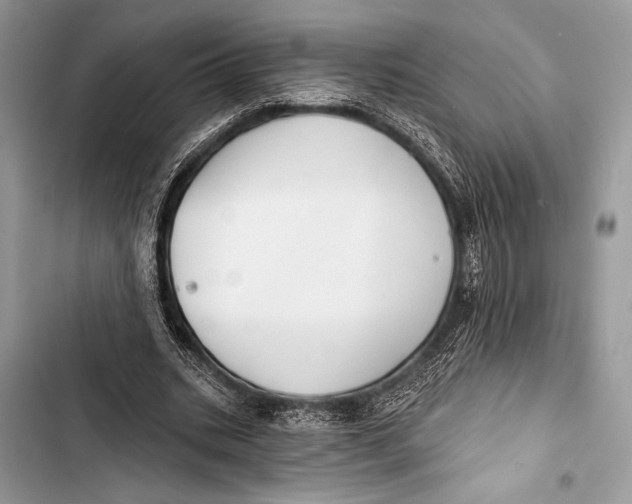 X0000103490535200810031608