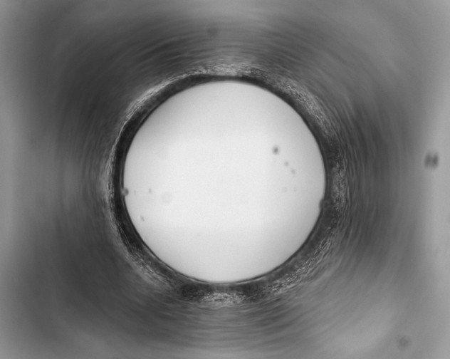 X0000103490536200810031608