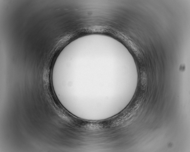 X0000103490537200810031608