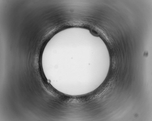 X0000103490538200810031608